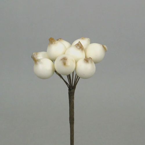 Marjanippu (9x12kpl) valkoinen