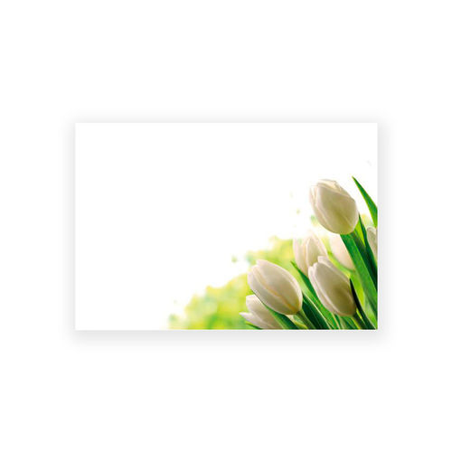 Pakettikortti 9x6 Ivory tulips 50kpl/pkt 60-00266