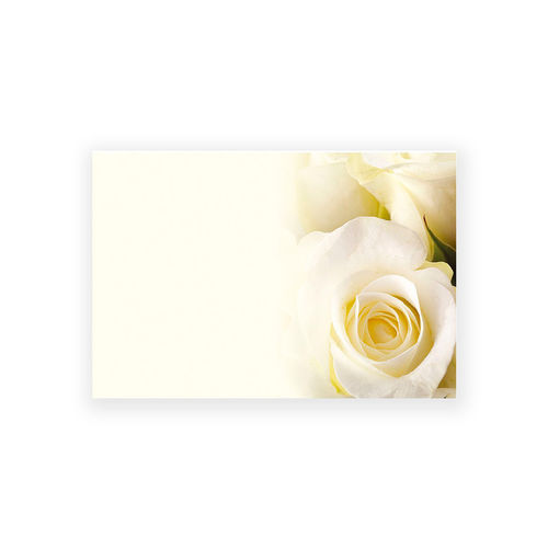 Kortti 12,5x9 kerma ruusu 9kpl 60-00116