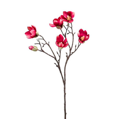 Magnolia oksa pinkki 65cm 425262 (12/24)